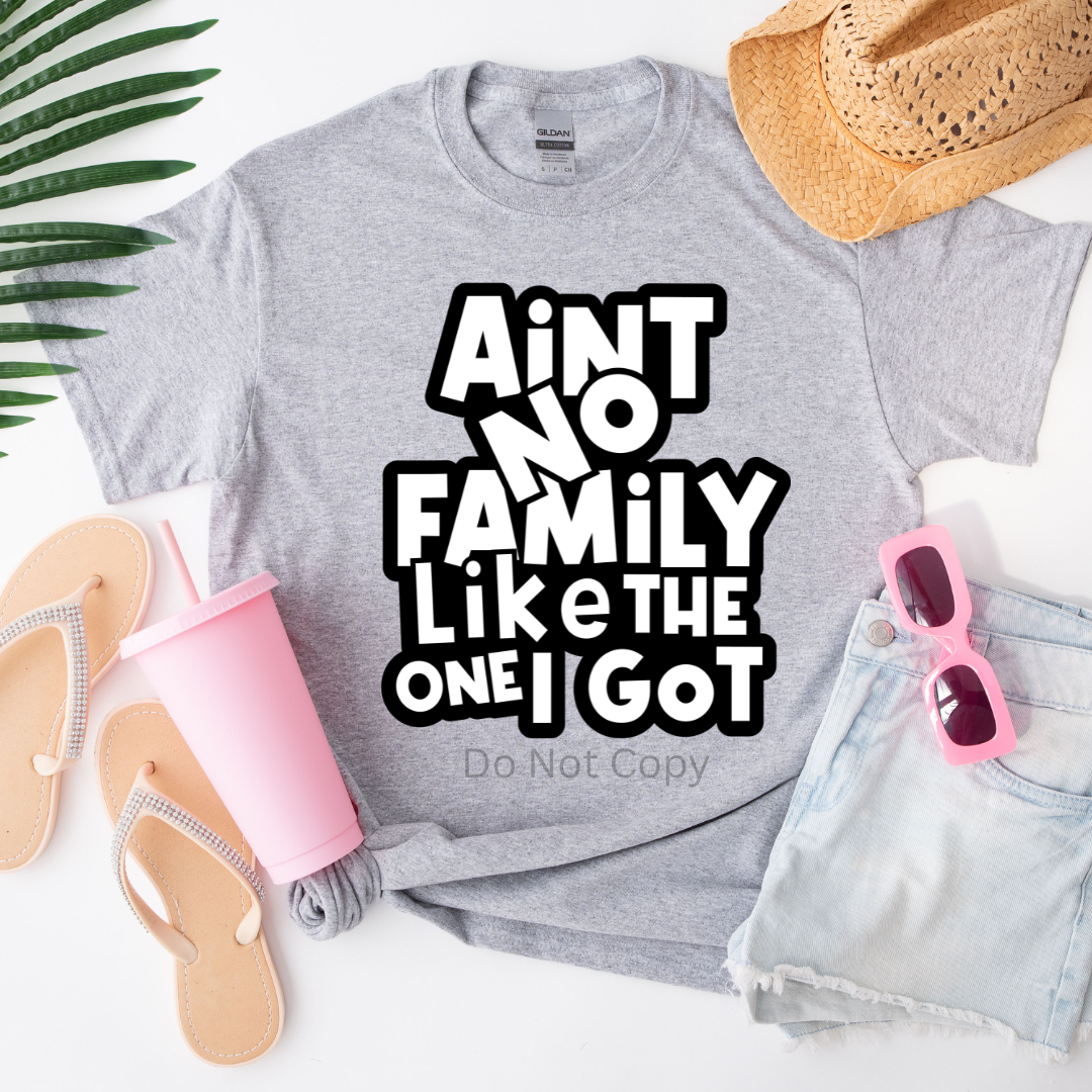 Ain't No Family Like The One I Got Screen Print Transfer
