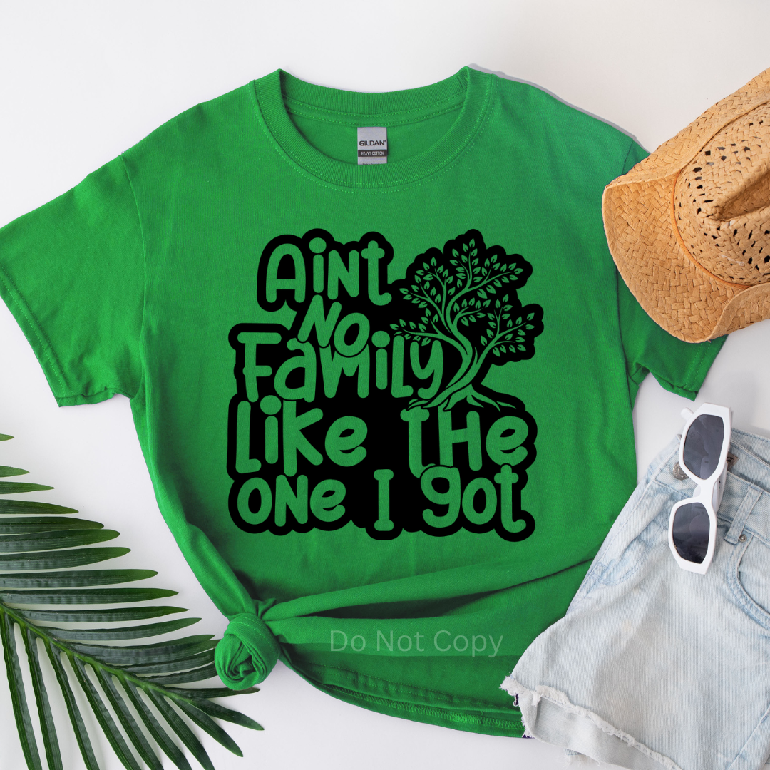 Ain't No Family Like the One I Got Tree Screen Print Transfer on a tshirt