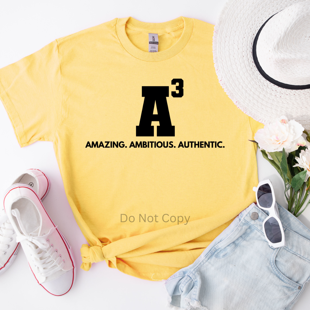 A3 Amazing Ambitious Authentic Screen Print Transfer on a tshirt front side