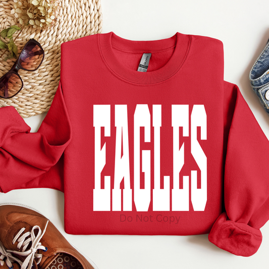 Eagles Screen Print Transfer on a tshirt front side